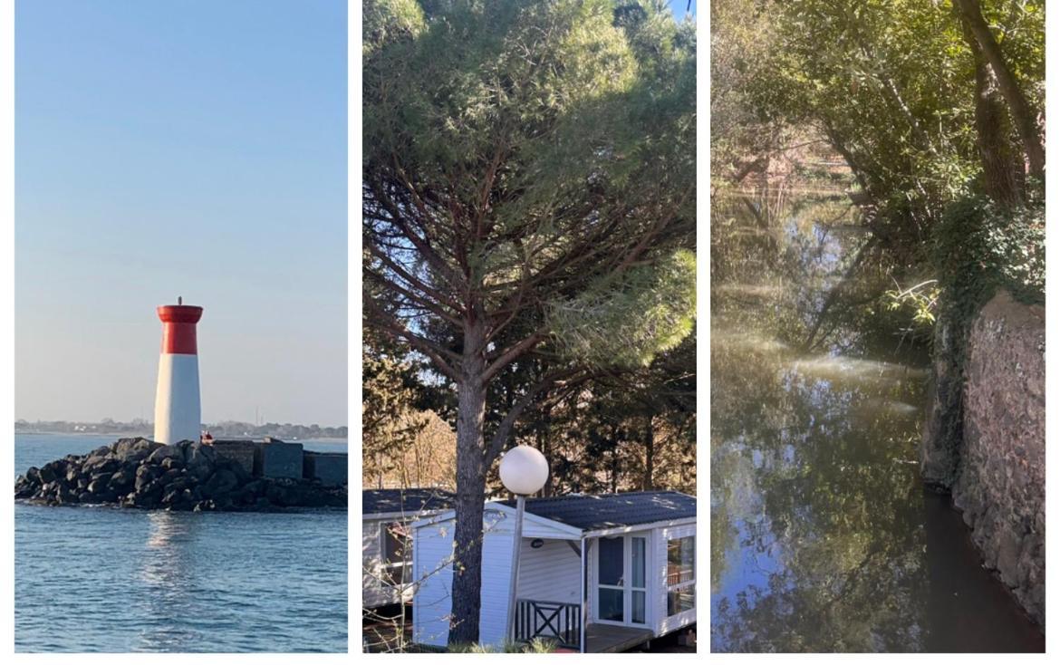 Camping Sept Fonts Agde Otel Dış mekan fotoğraf